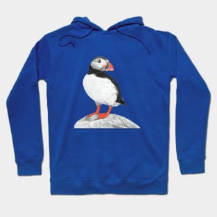 Puffin pastel art Hoodie